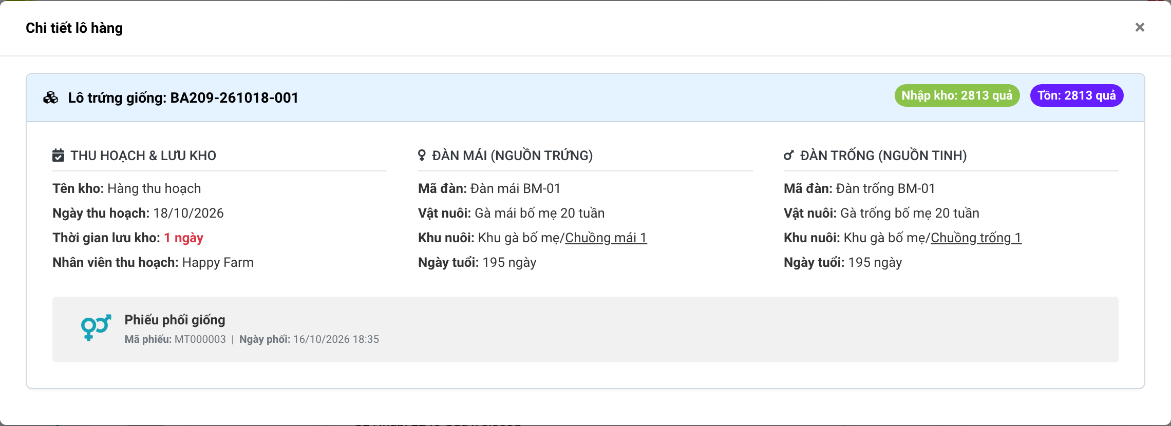 Lô BA209-261018-001: Đàn mái BM-01 × Đàn trống BM-01