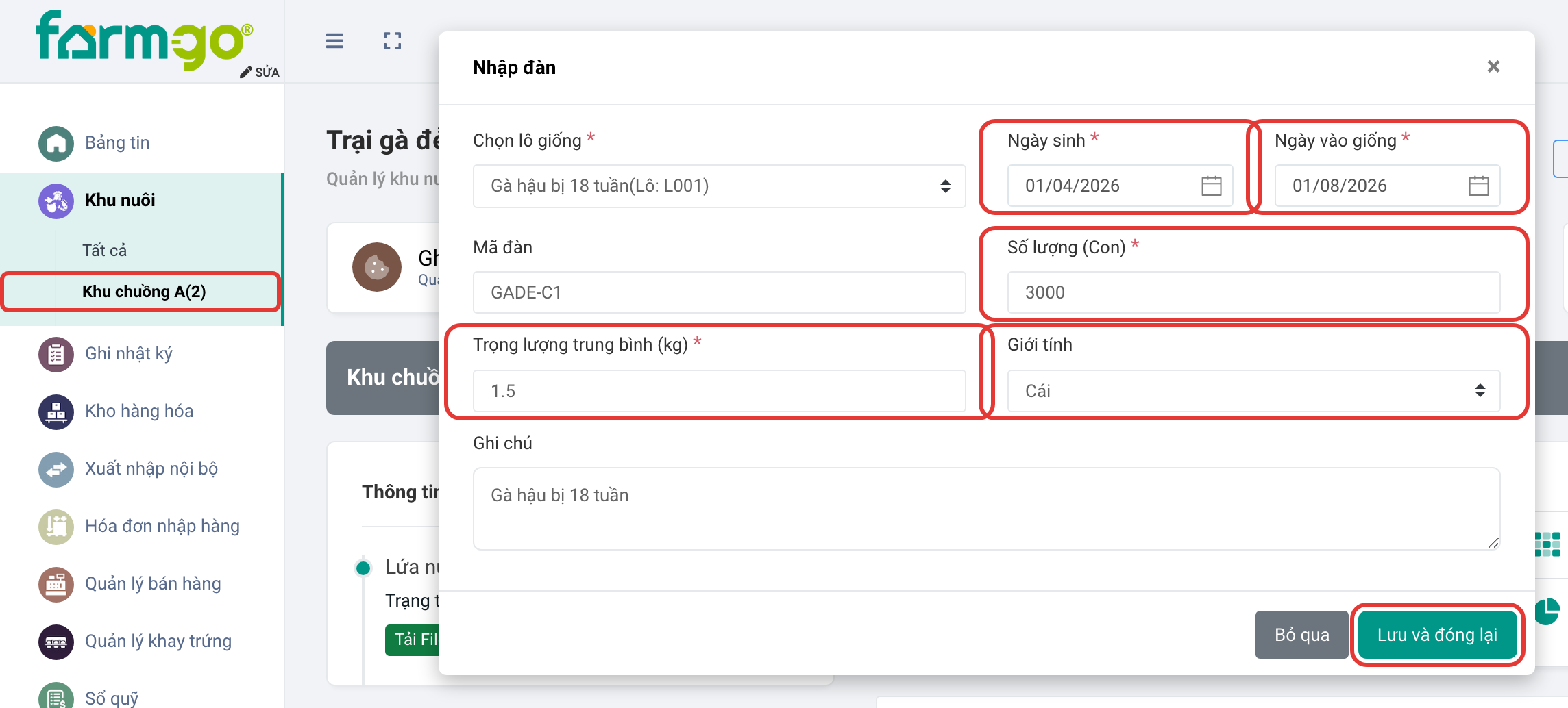 3.000 gà hậu bị, giới tính Cái